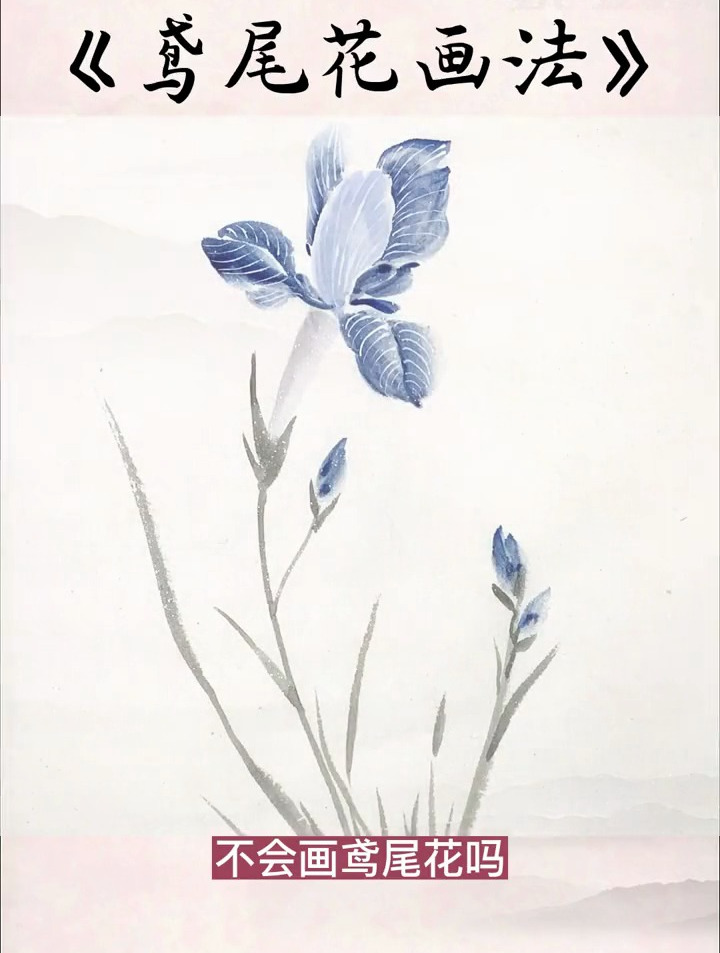 零基础学国画:简单易学的《鸢尾花画法》,你学会了吗?