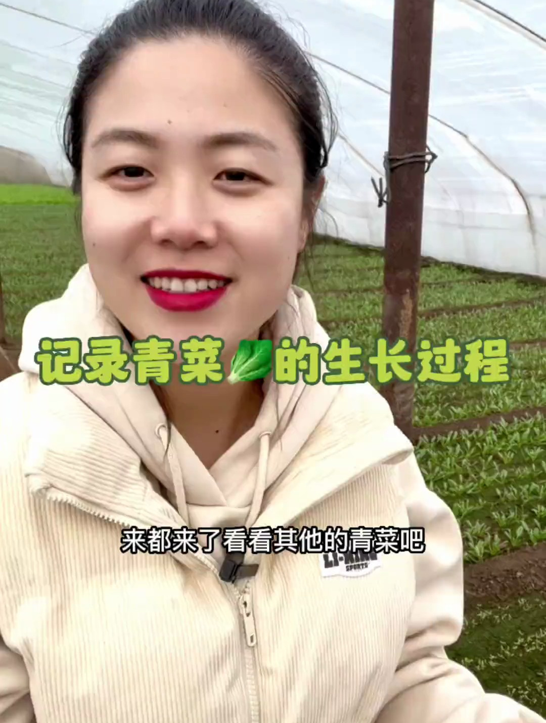 见过青菜的生长过程吗?城里人应该都不认识吧