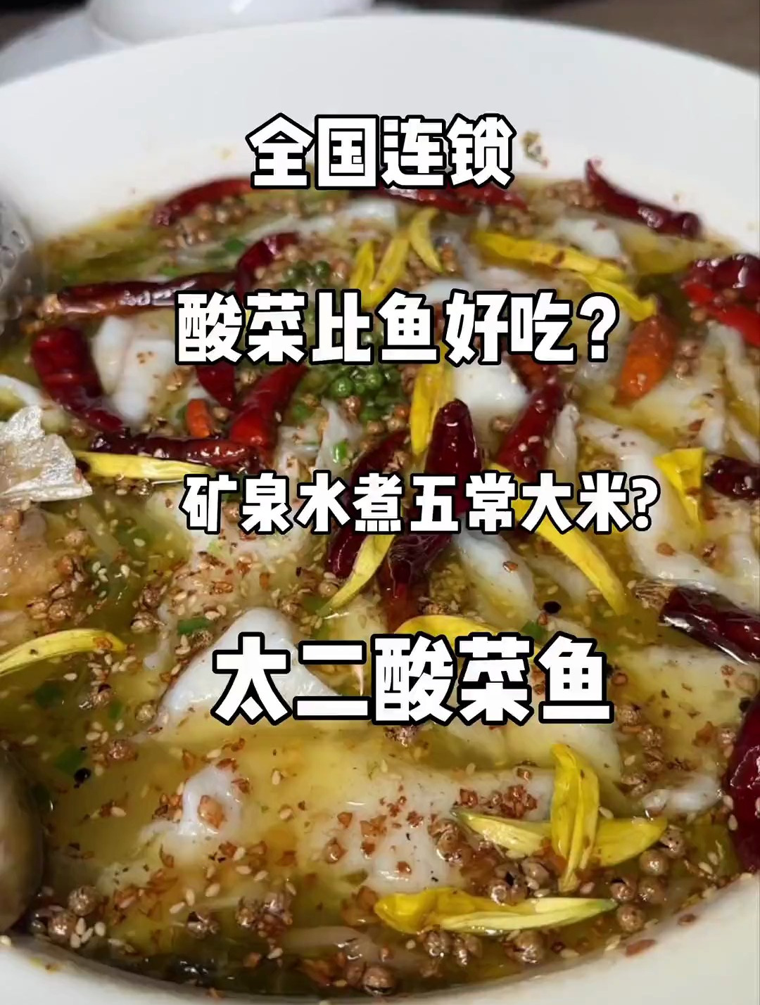 太二酸菜鱼太好吃了 这酸菜鱼能炫3碗大米饭