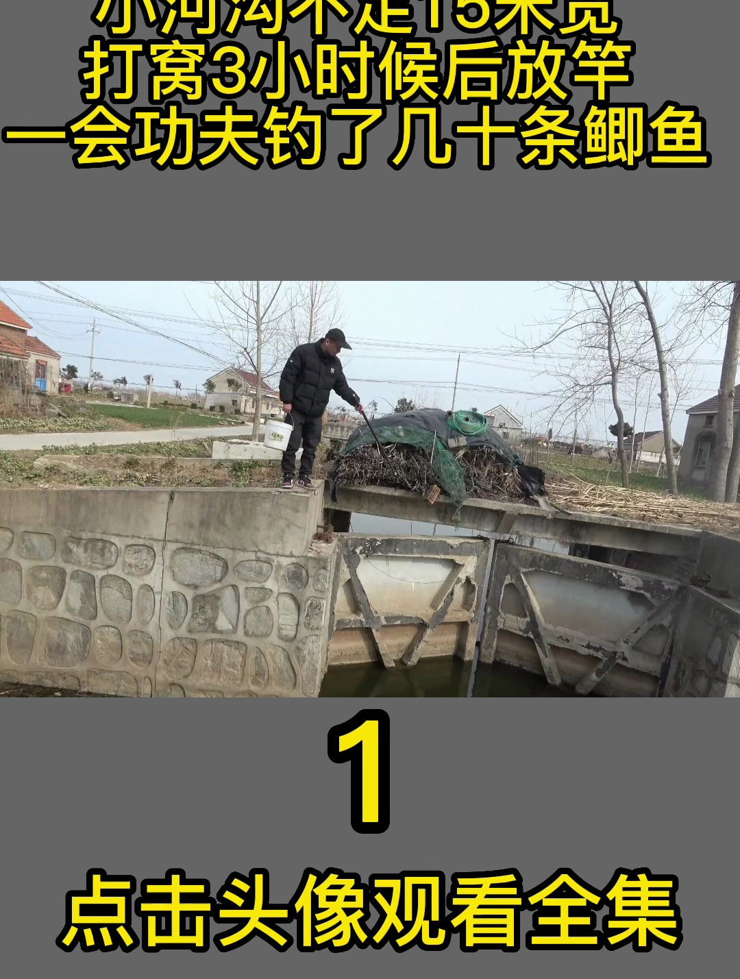 小河沟不足15米宽,打窝3小时候后放竿,一会功夫钓了几十条鲫鱼1