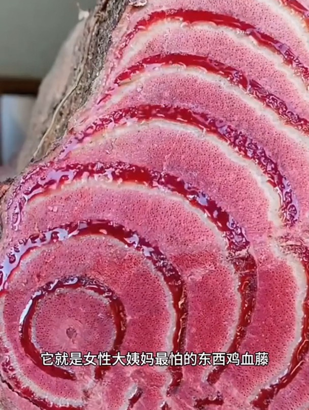 新鲜鸡血藤广西深山野生鸡血藤干货30年