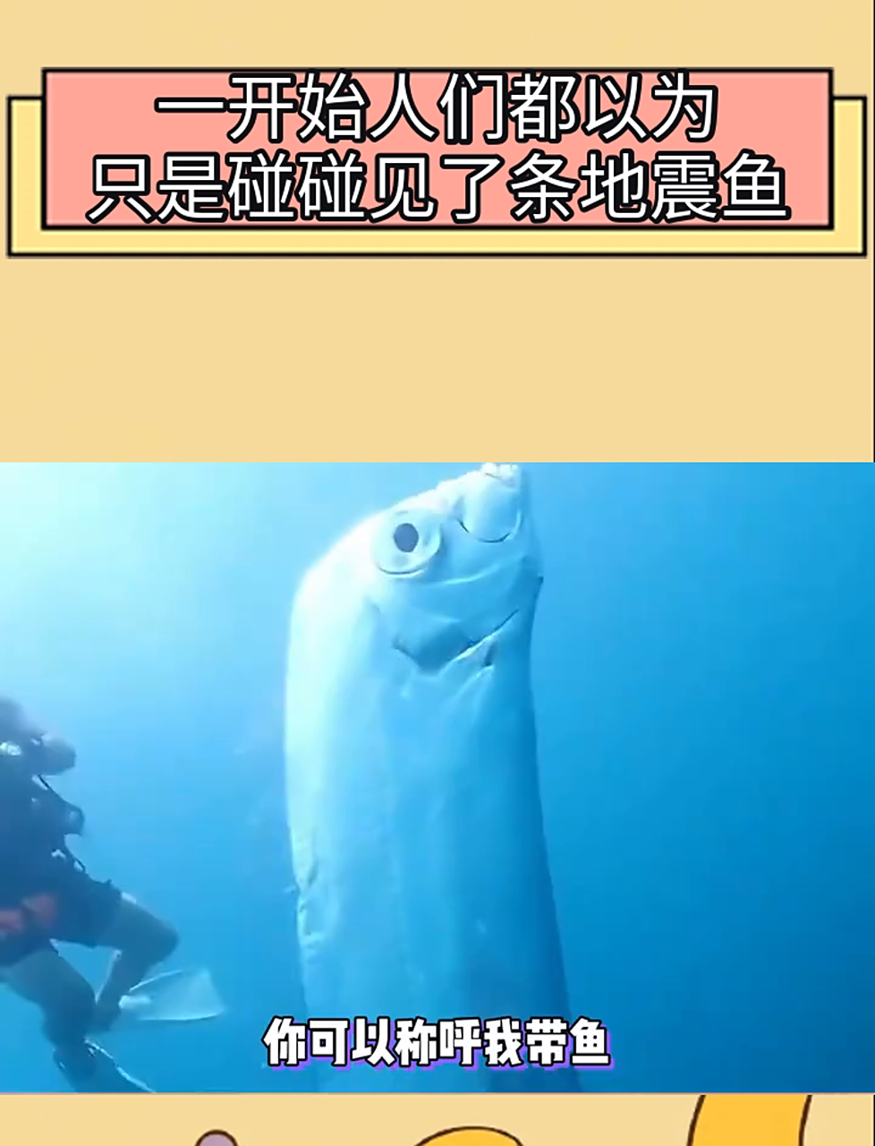 地震鱼说:妈妈,救命,这里有好多黑不拉几的东西围着我转