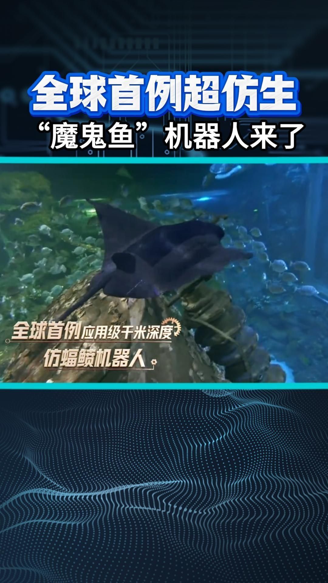 全球首例超仿生 “魔鬼鱼”机器人来了