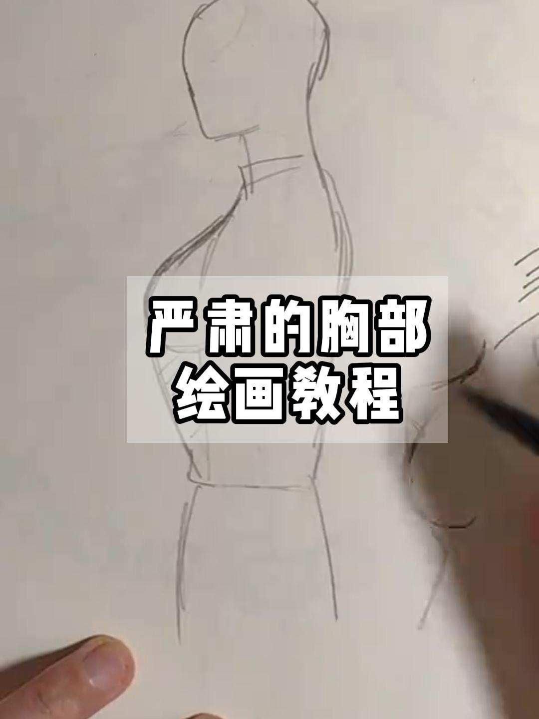 严肃的胸部绘画教程