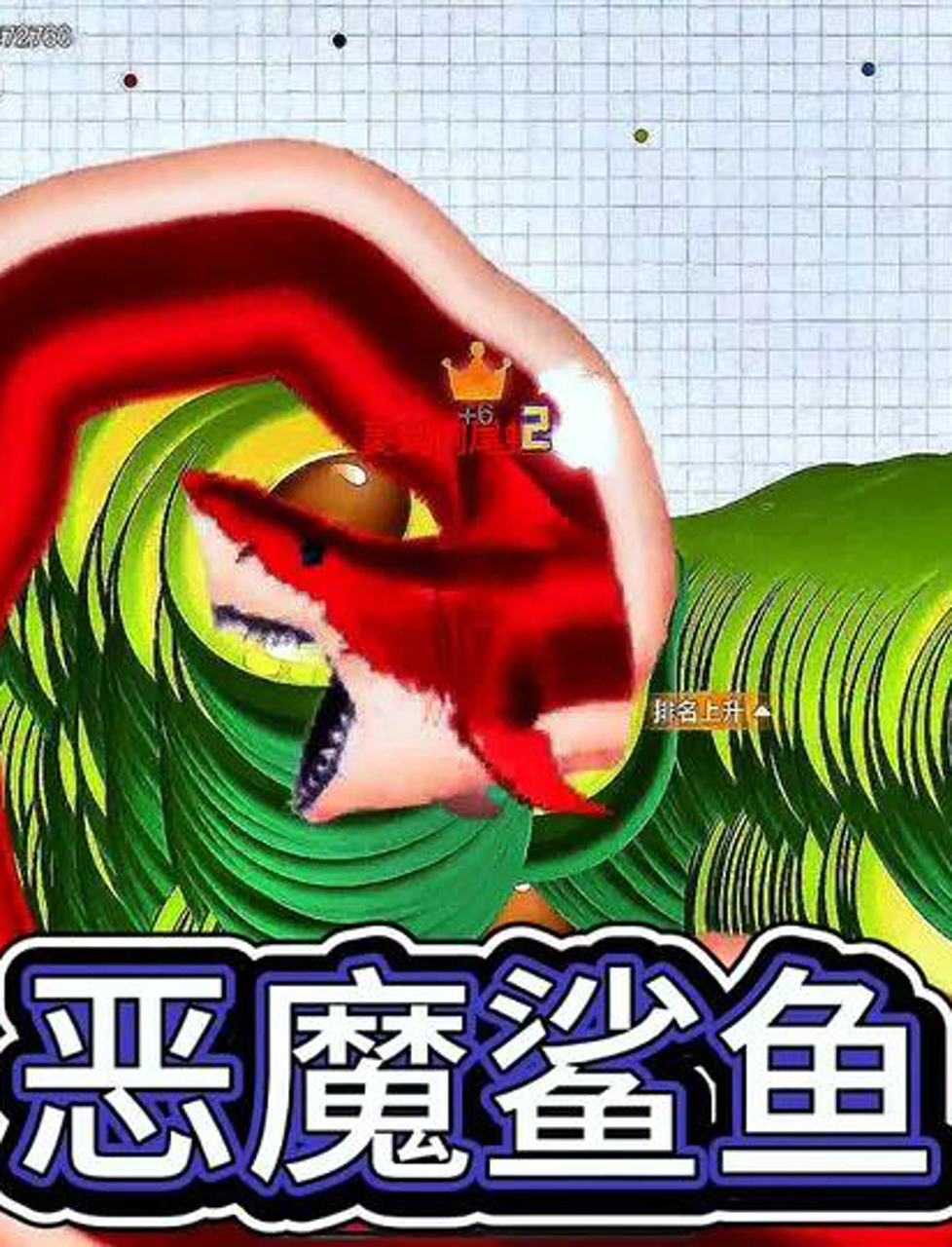 你拿到鲨鱼皮了吗?