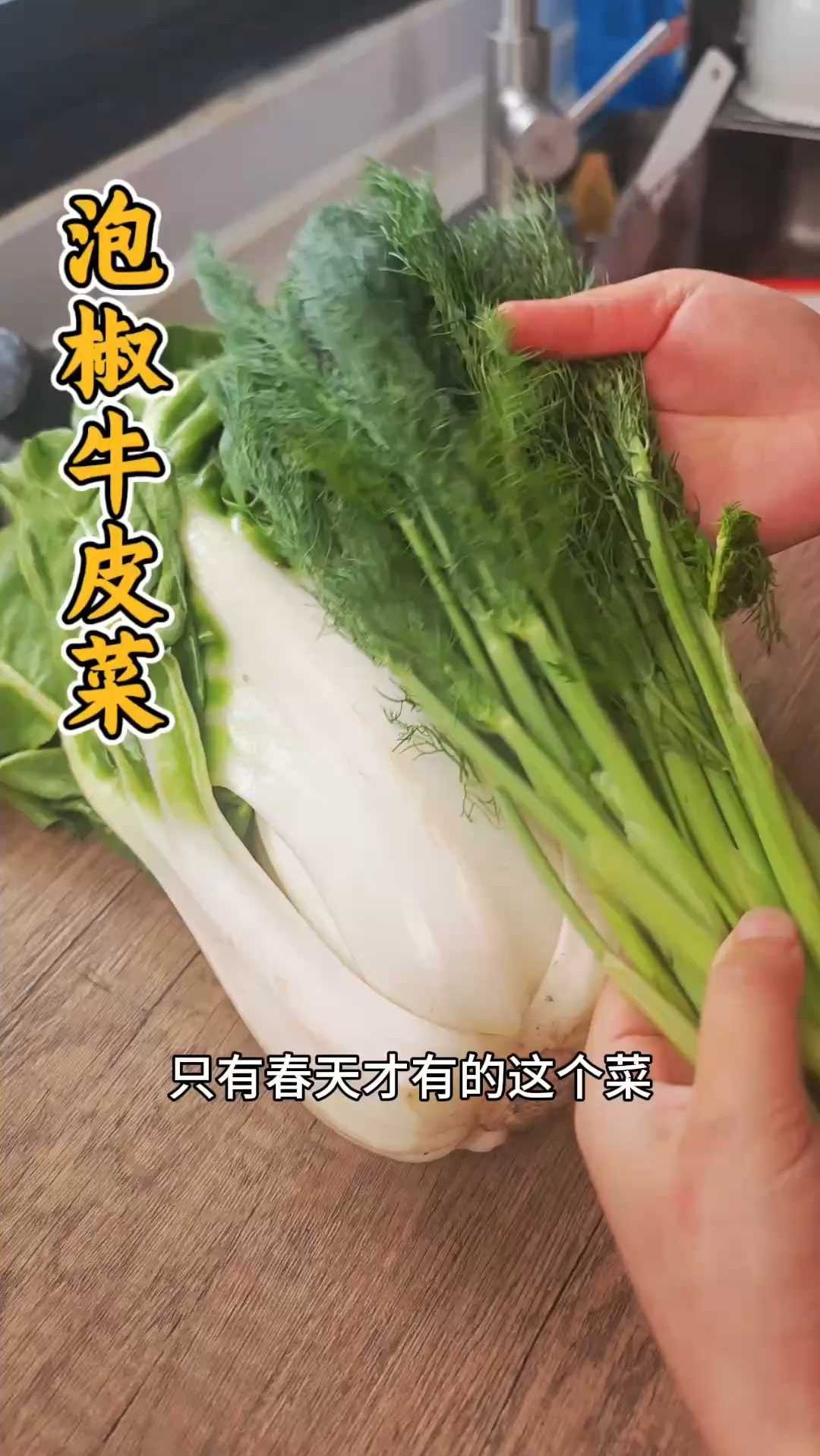 一口爱上!春天超下饭的泡椒牛皮菜,做法简单又好吃