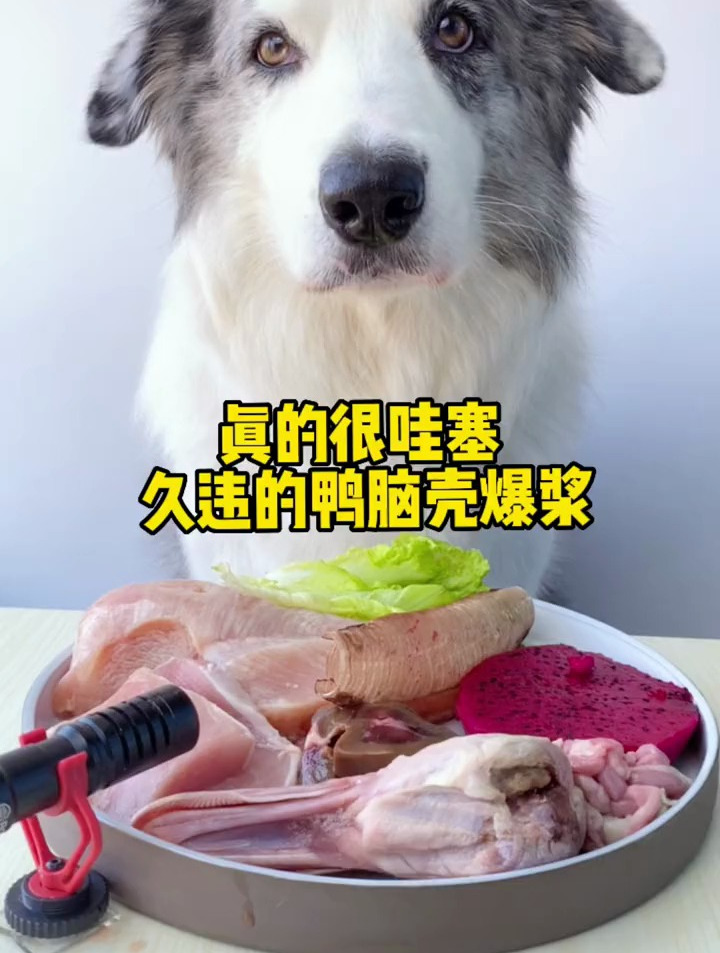 哇塞 鸭脑壳爆浆了耶……