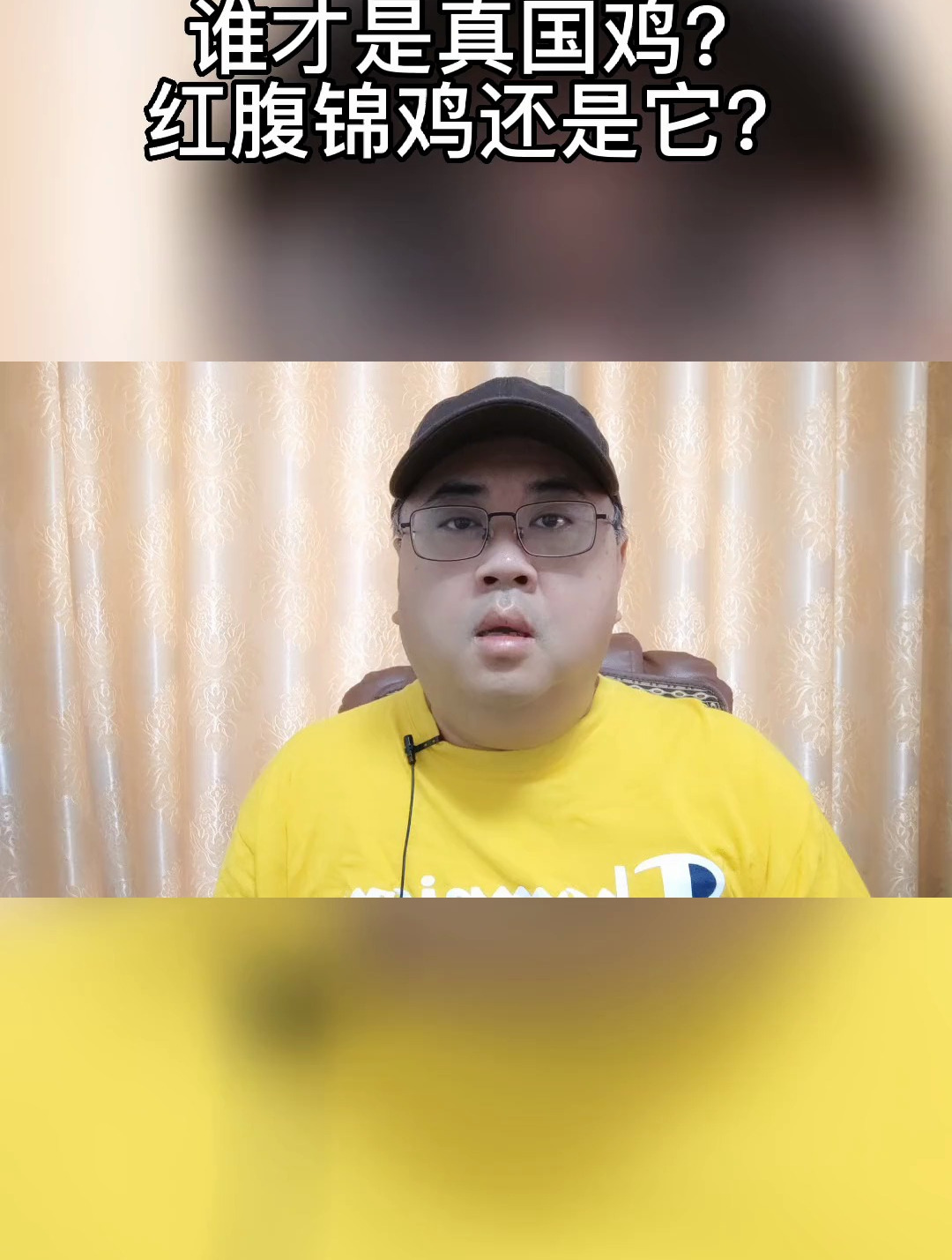 国鸡最有力的竞争者褐马鸡!