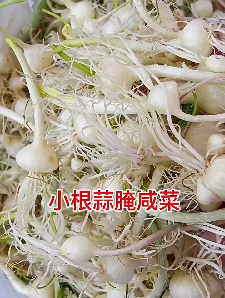 小根蒜咸菜,简单易懂美味!