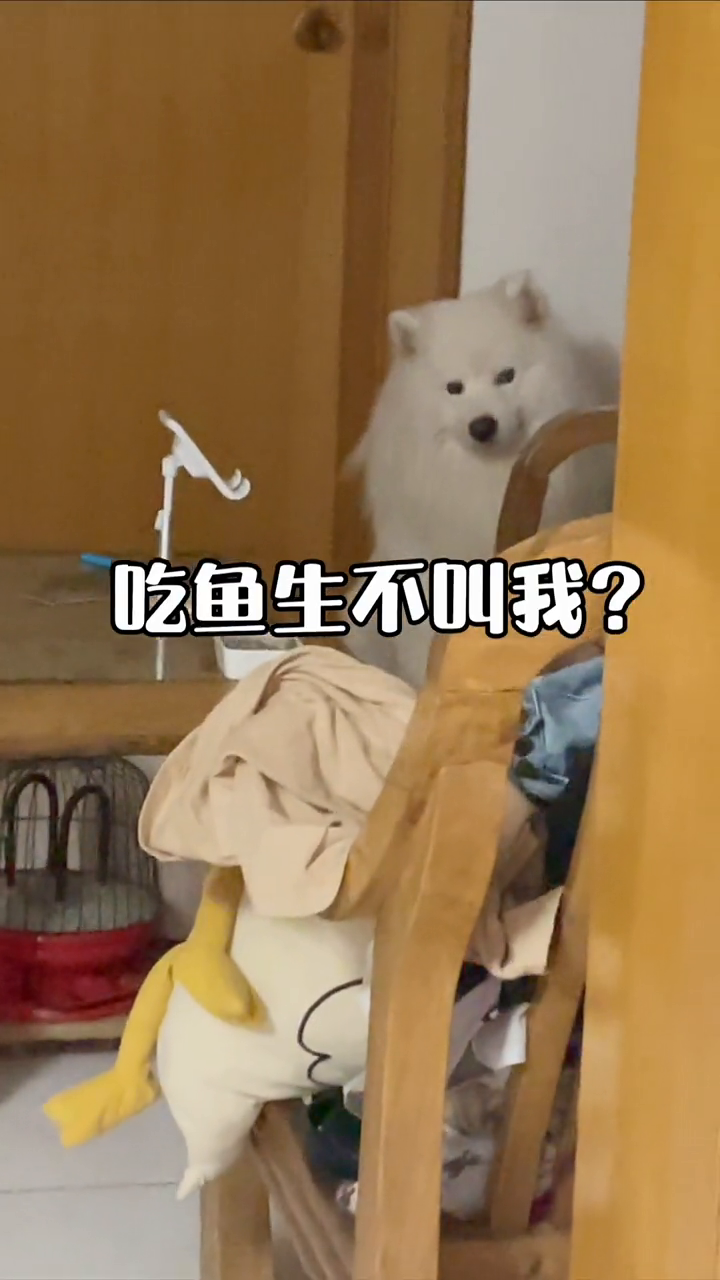 吃鱼怎么不叫我?