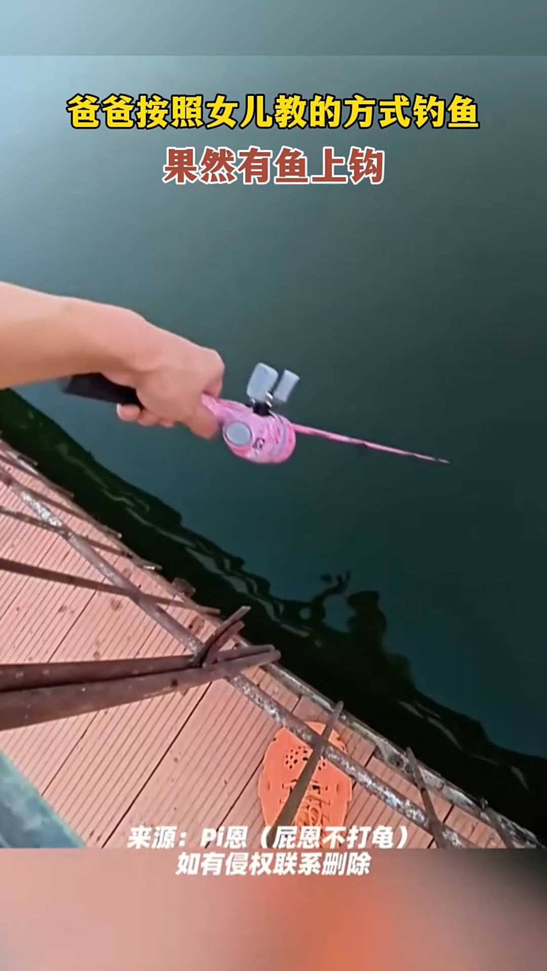 爸爸按照女儿教的方式钓鱼,果然有鱼上钩