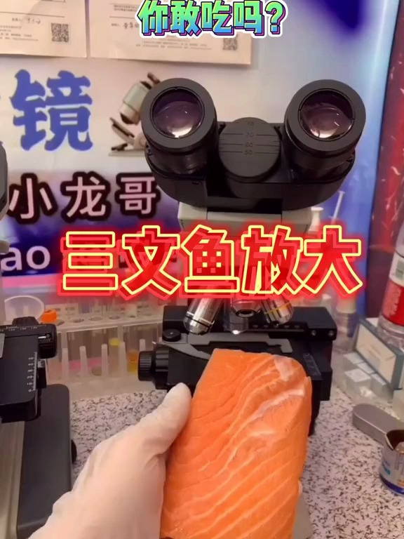 你一定没见过,三文鱼放大后的样子