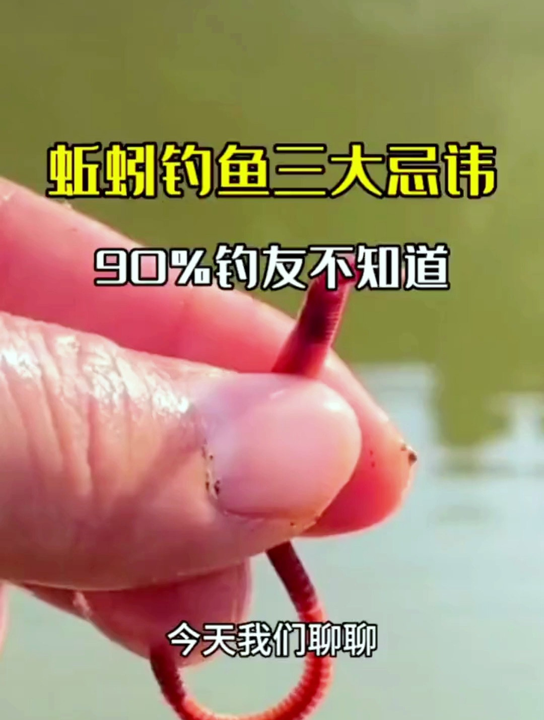 蚯蚓钓鱼三大忌讳,90%钓友都不知道