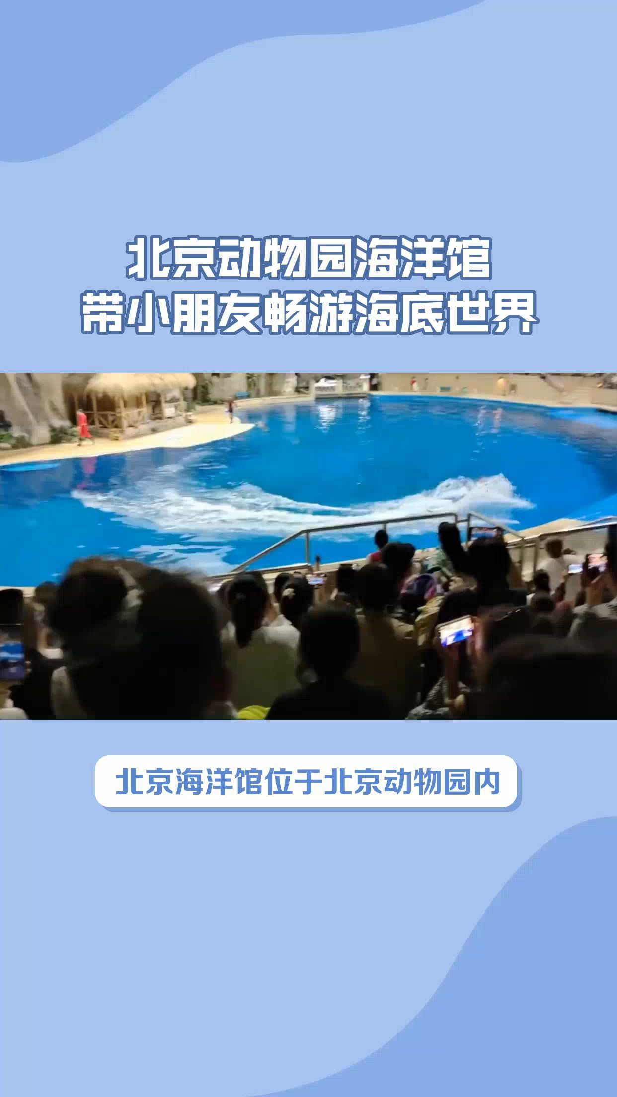 北京海洋馆游玩攻略介绍