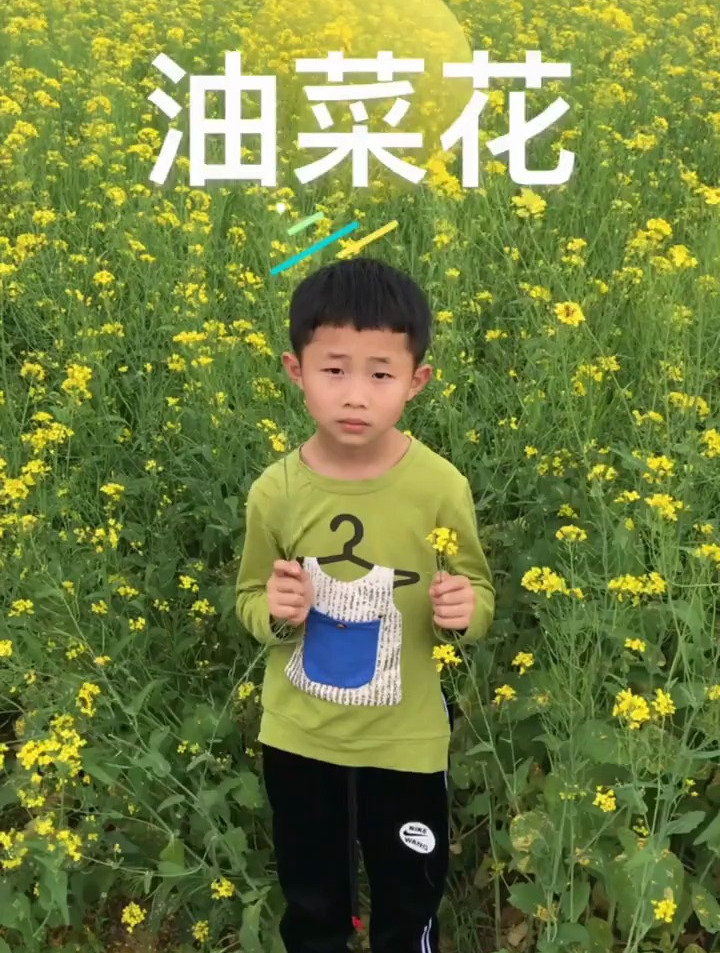 油菜花期是1～3月、油菜花种子可以榨成食用油,比花生油更清香