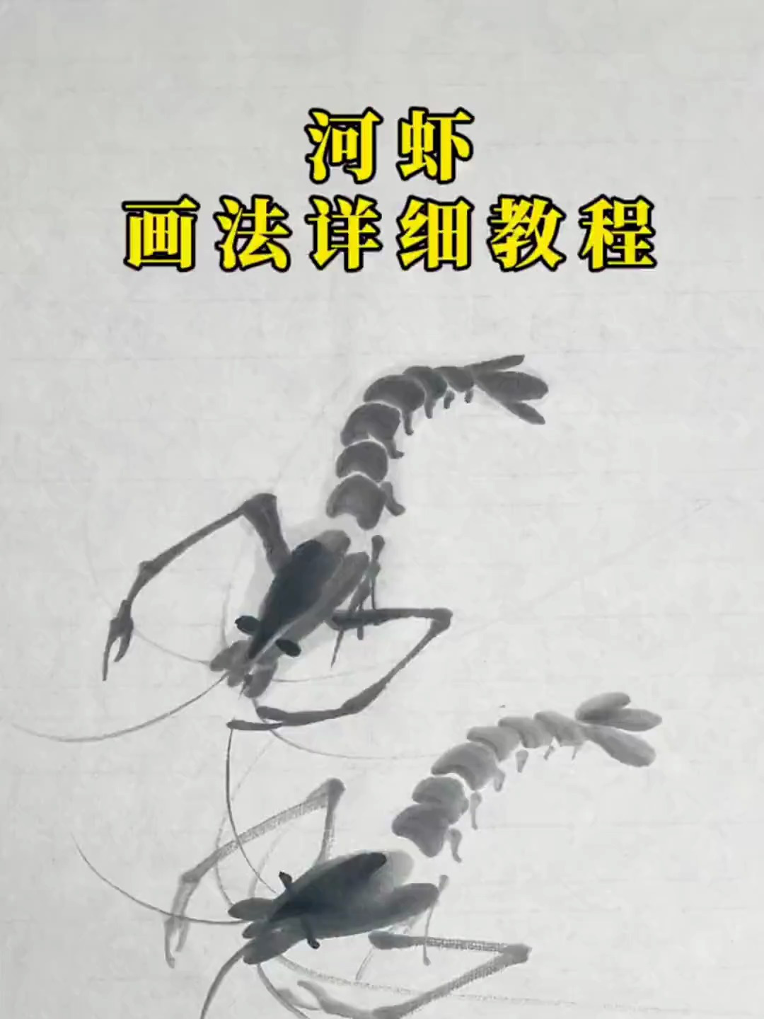 河虾画法详细教程
