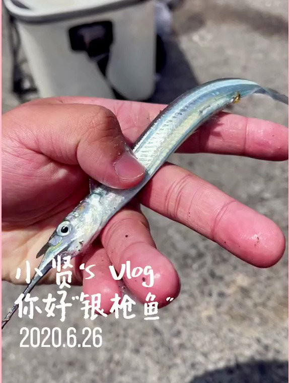 但愿今天收获满满呀!