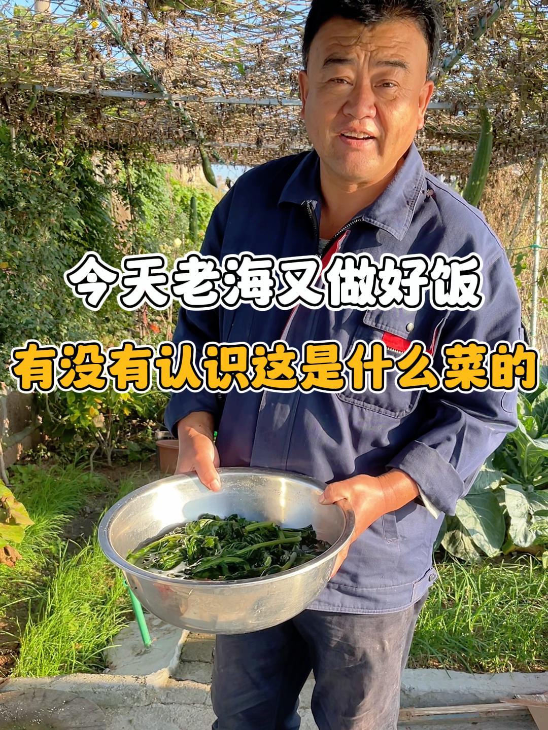 今天弄个圆圆的豆面球,又是满满当当的一大锅农村饭菜绝了门子了