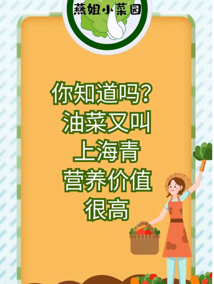 没想到,油菜营养价值能这么高?