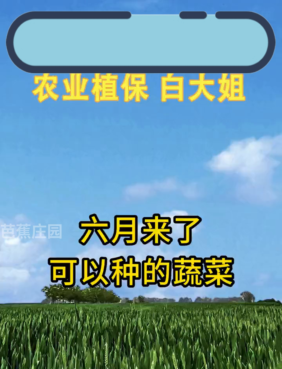 六月来了可以种的蔬菜