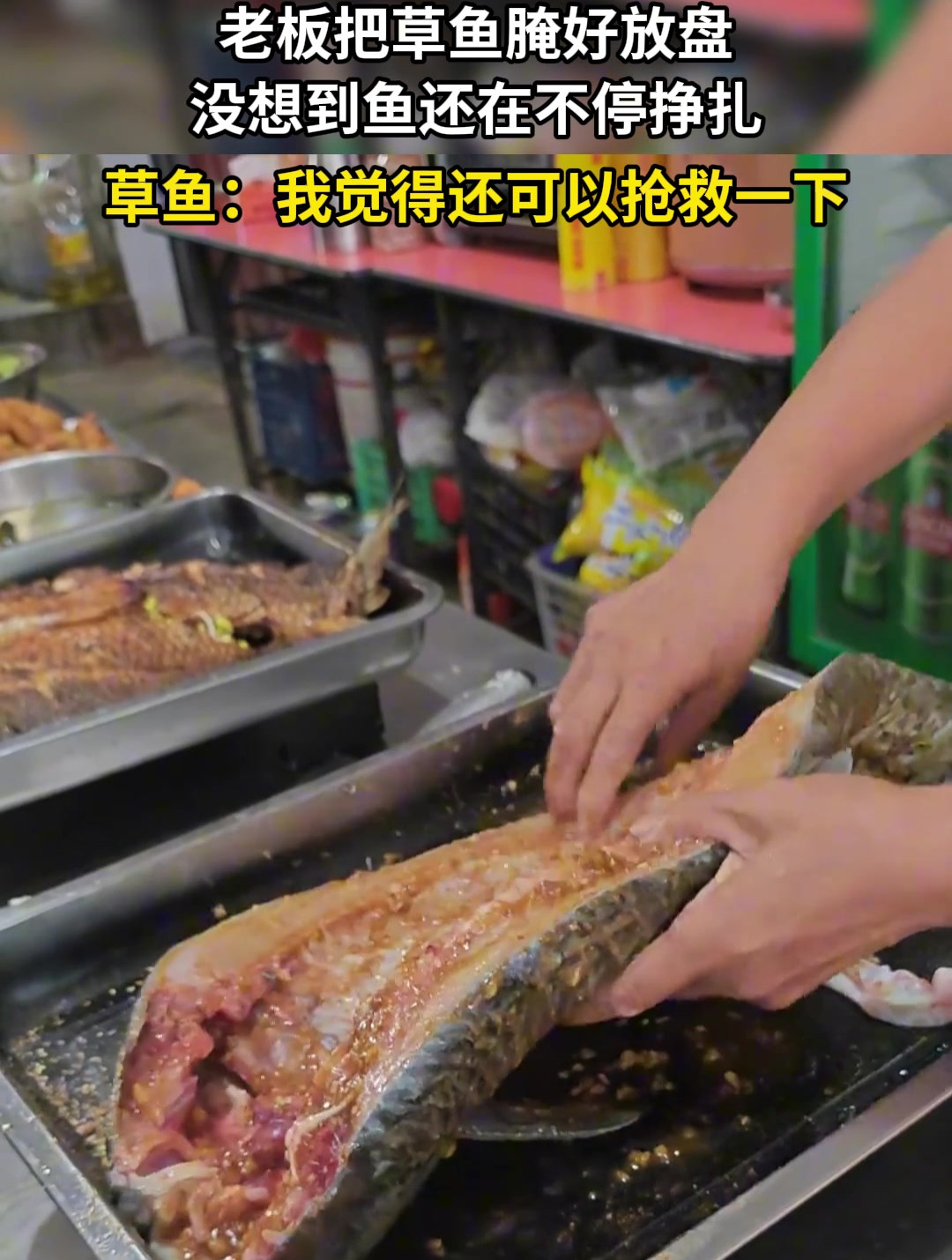 老板把草鱼腌好放盘,没想到鱼还在不停挣扎,草鱼:我觉得我还可以抢救一下