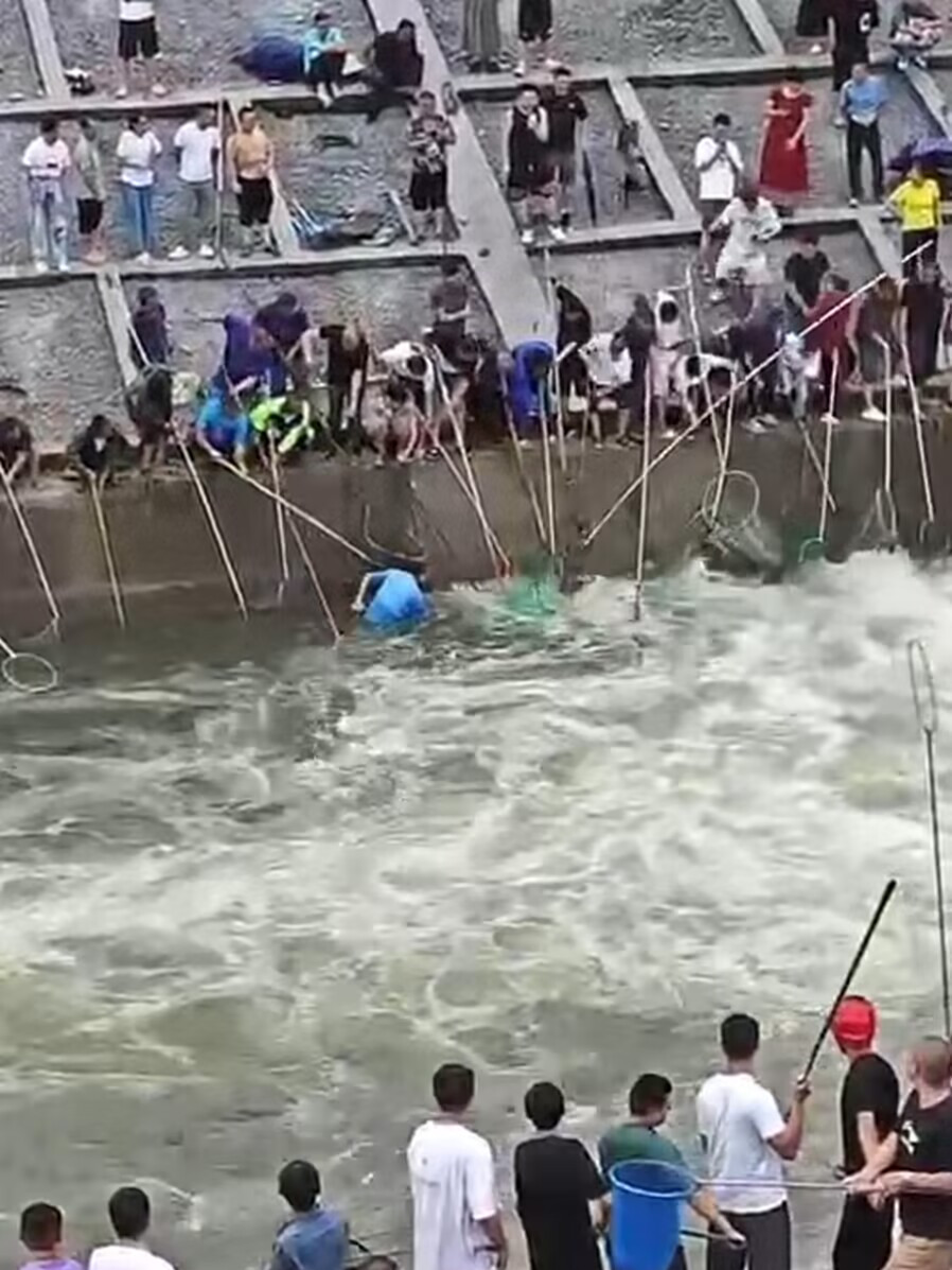 大坝泄洪“鱼儿飞”,四川眉山东坡湖请全市人民吃鱼啦!