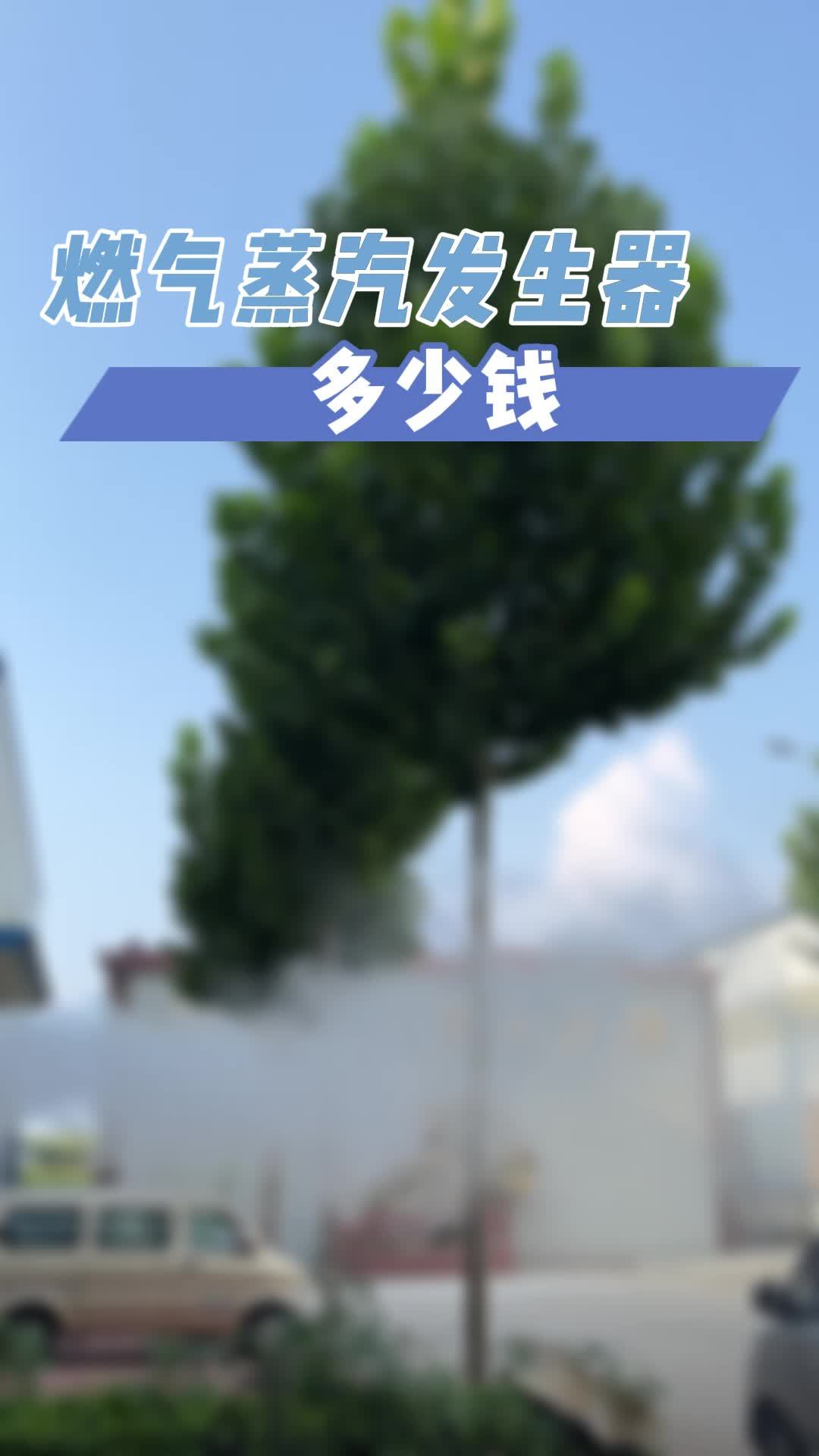 燃气蒸汽发生器多少钱