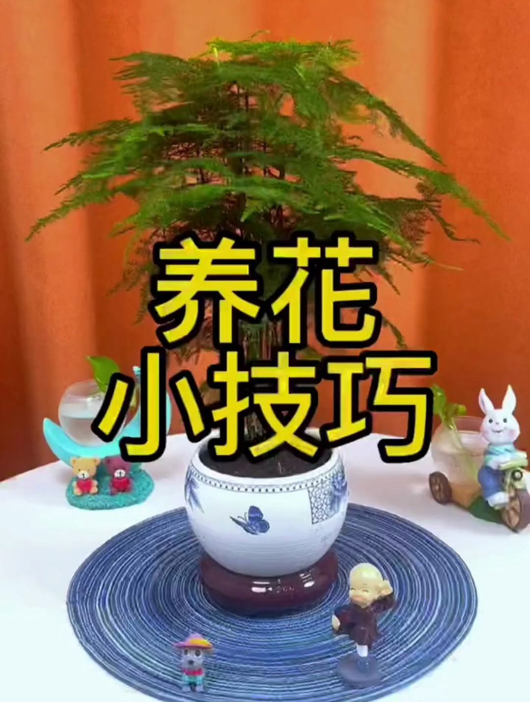 养花几种自制的营养水,好过一些肥料,可惜很多人根本不知道!