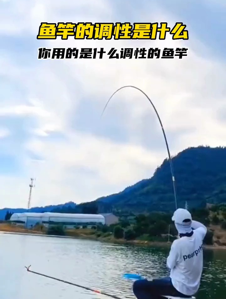 鱼竿的调性到底是什么意思?新手选鱼竿的时候 一定要看好哦!