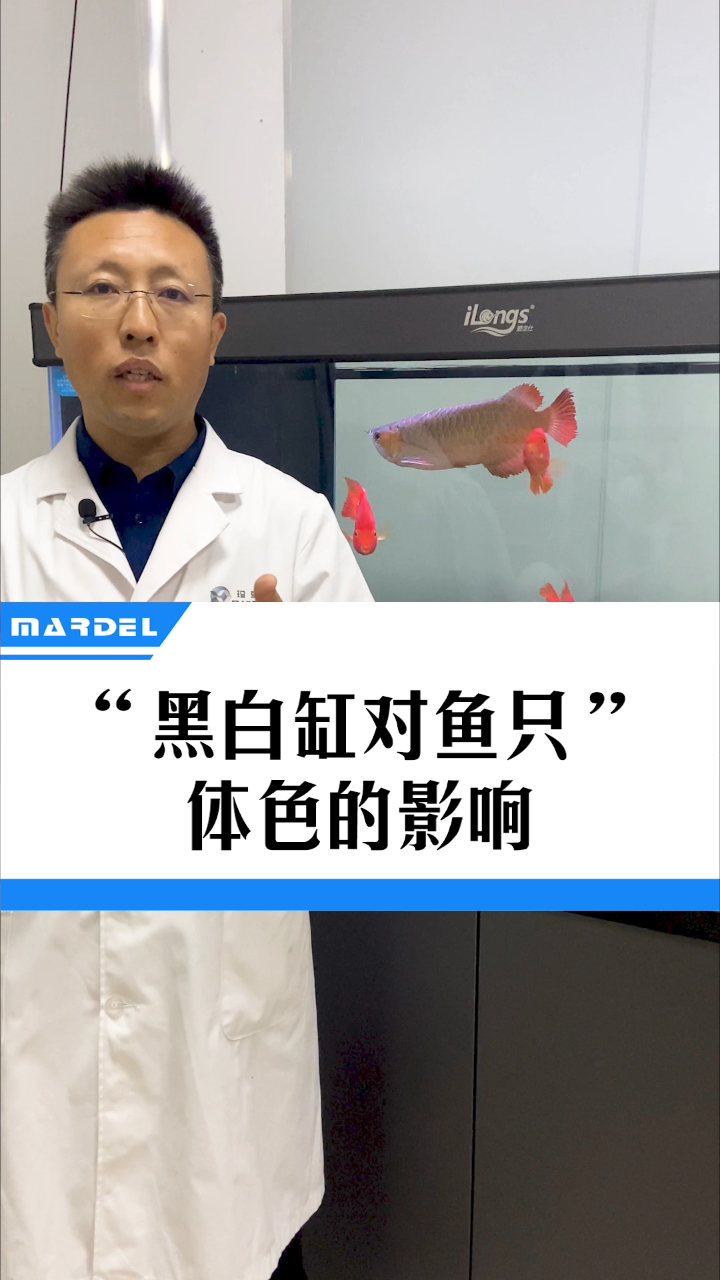 黑白缸对鱼只体色的影响!