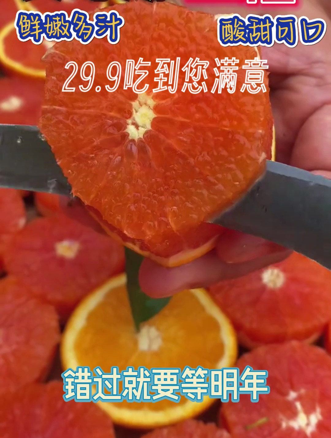 让健康成为一种习惯:与长寿湖血橙一起,生活注入更多活力与能量