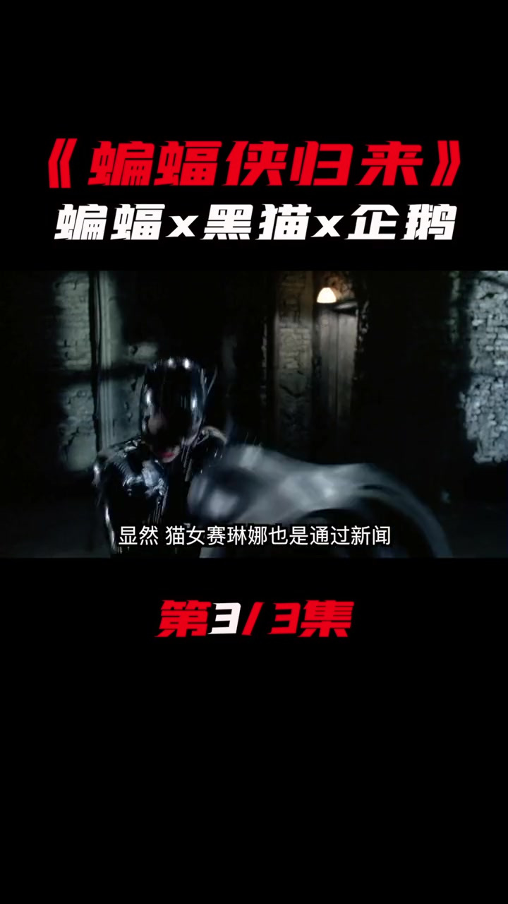 (3)你们要的老版 第二部来了。蝙蝠侠vs猫女vs企鹅人
