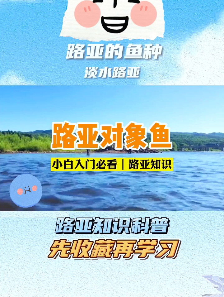 新手必看！路亚什么鱼都能钓？带你揭秘路亚的对象鱼种有哪些！