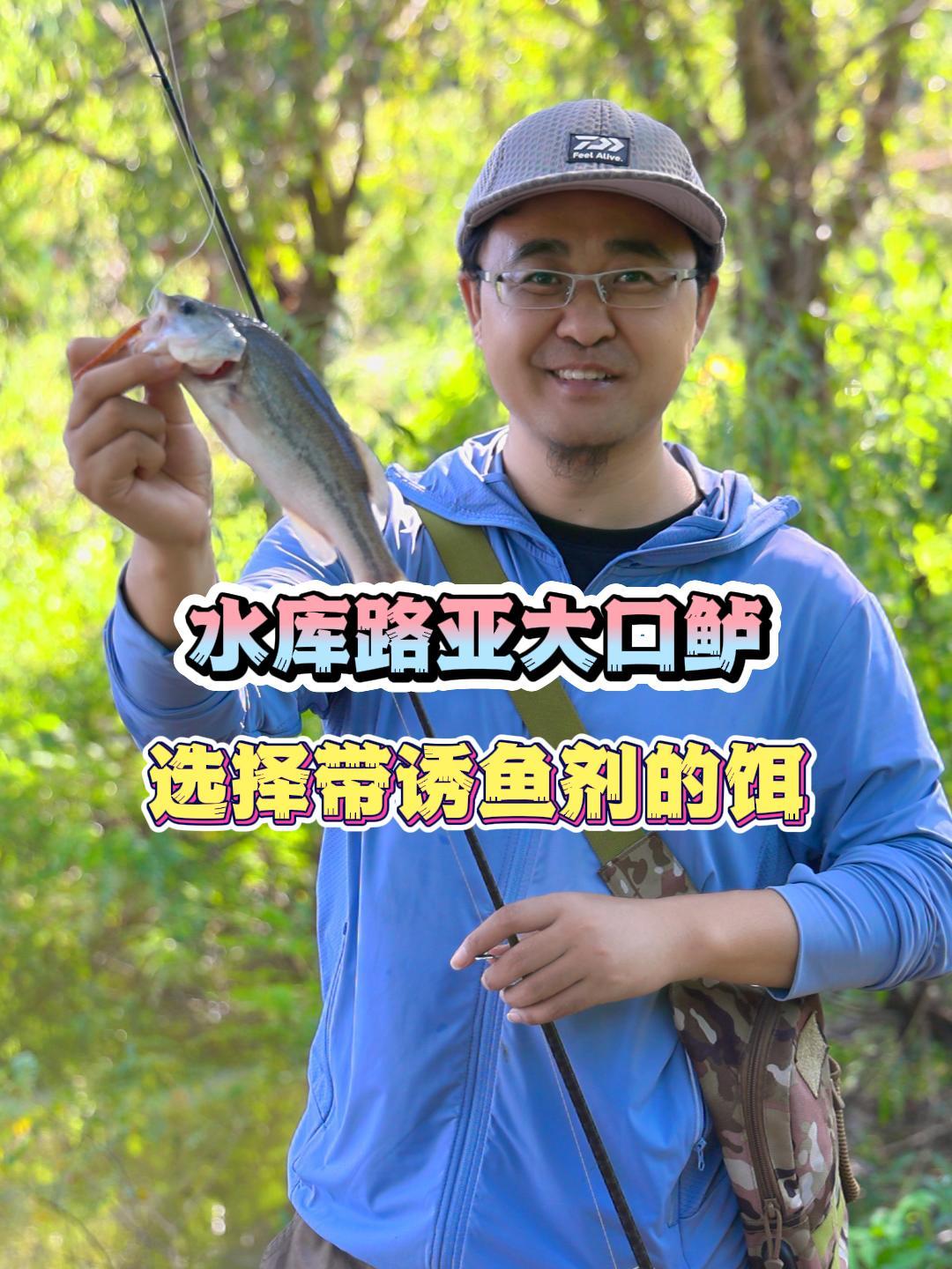 水库路亚大口鲈,为什么要带选择带有诱鱼剂的鱼饵?
