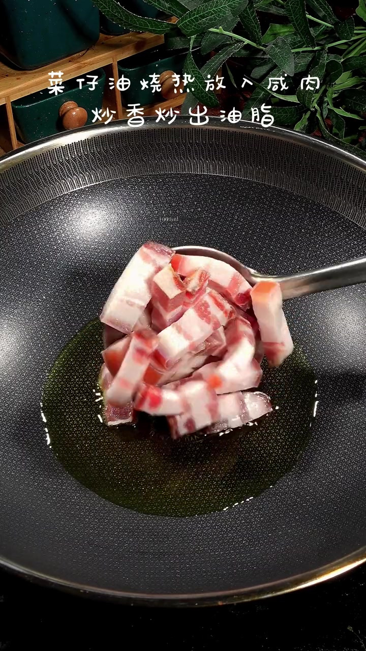 明前螺丝赛大鹅,春天你吃过螺丝了吗?
