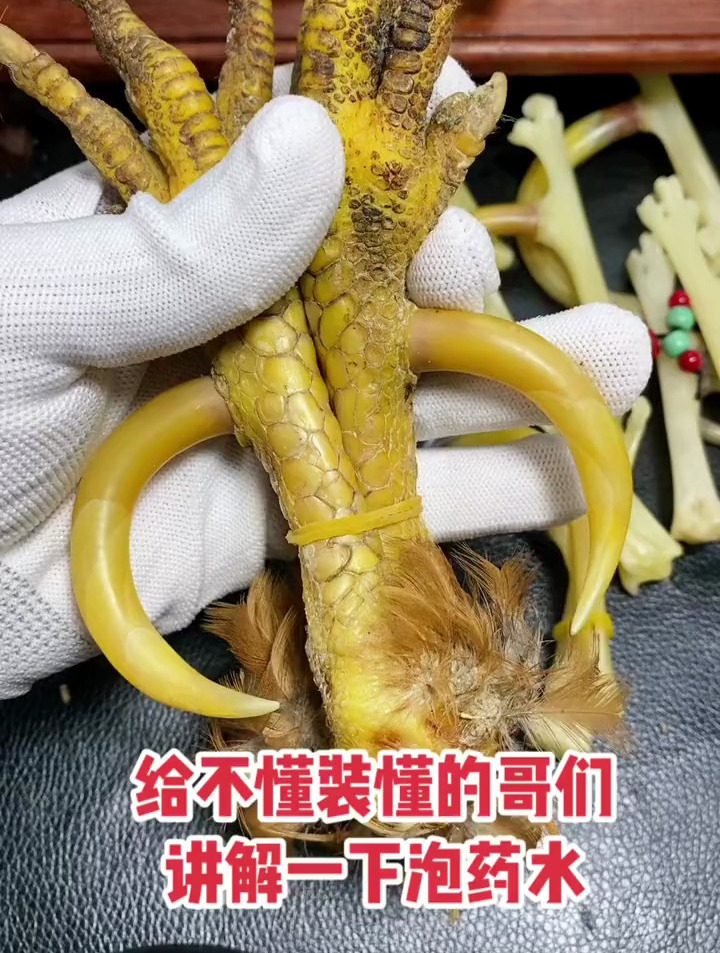 带你们了解鸡爪骨文化,别盲目的盘玩鸡爪骨