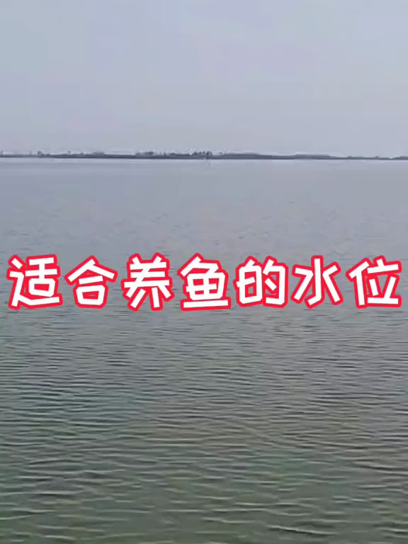 多深的水位适合养鱼 水产养殖 鱼虾蟹养殖