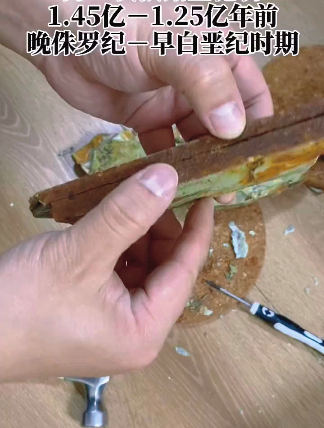 买了几块狼鳍鱼化石原石,撬开有惊喜