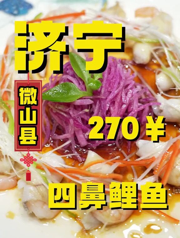黑鱼不摘鳃?微山湖的四鼻鲤鱼又是什么味道?