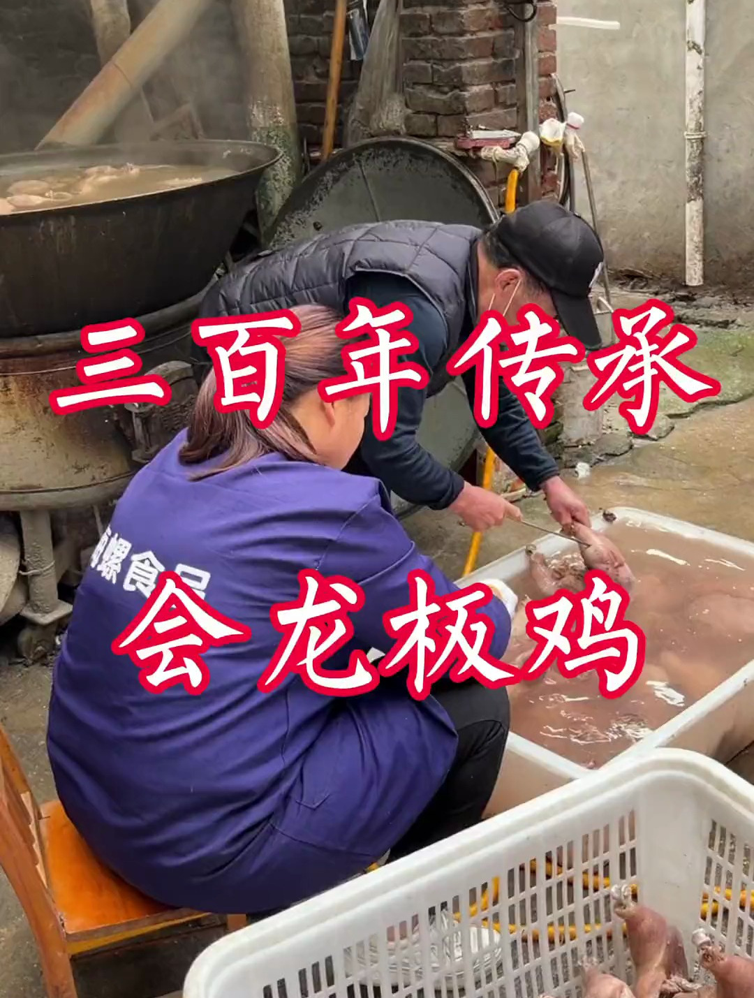 三百年的传承,会龙板鸡,一个鸡有十几斤重,非常震撼!