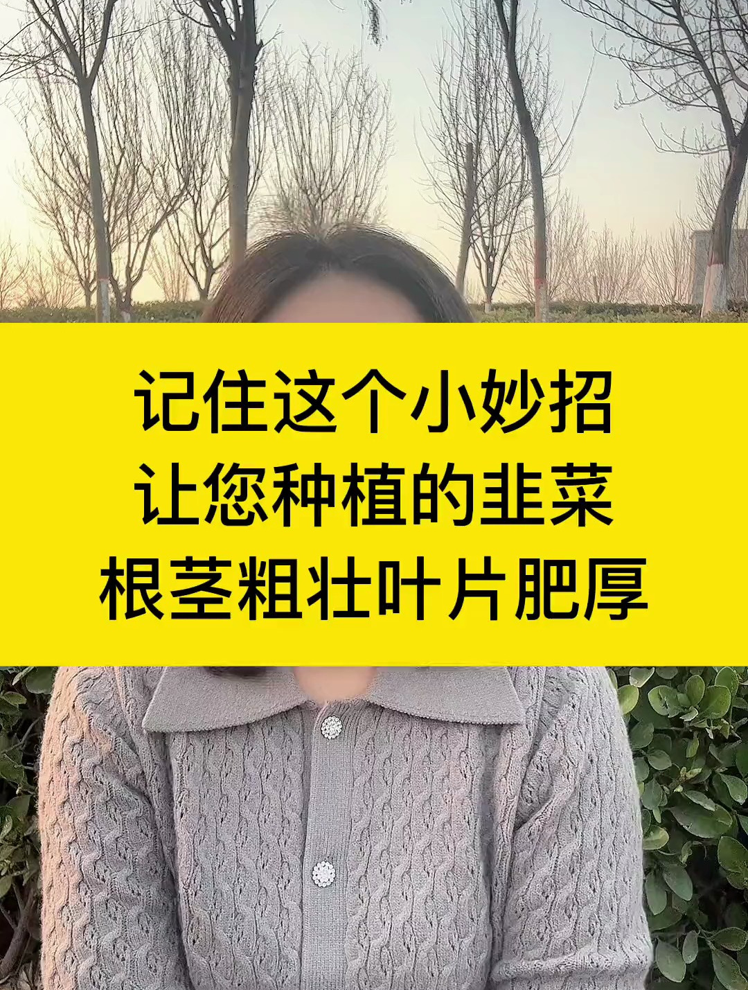 不打药不施肥,种植韭菜小妙招!传播农业小知识