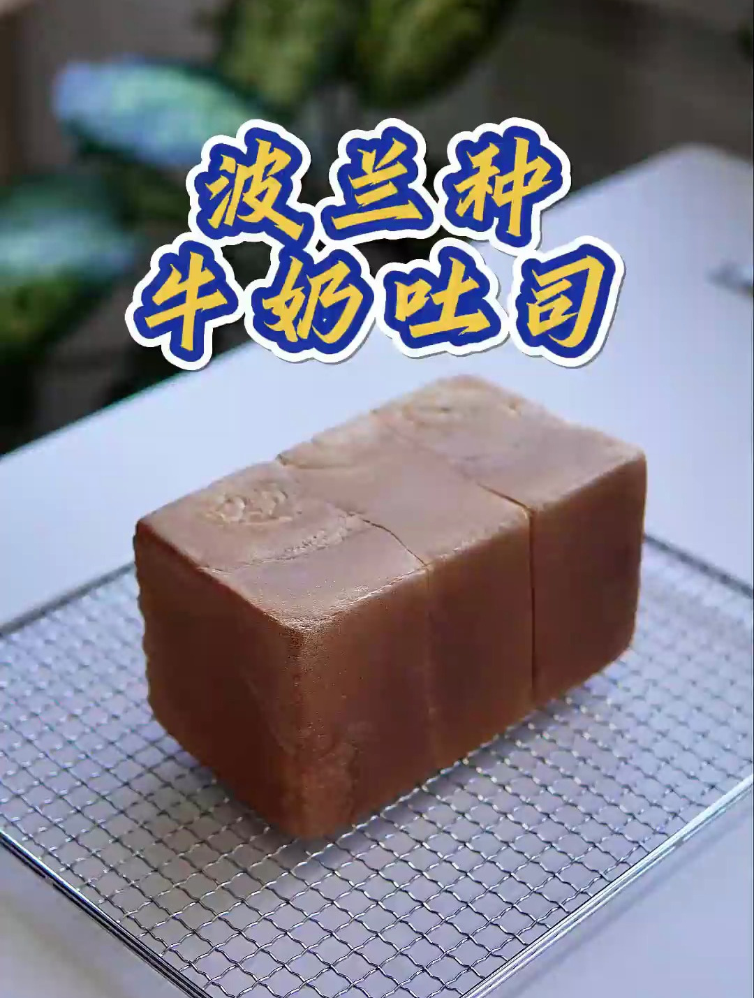 波兰种牛奶吐司!软糯细腻,绵软还能延缓面包老化,奶香醇厚