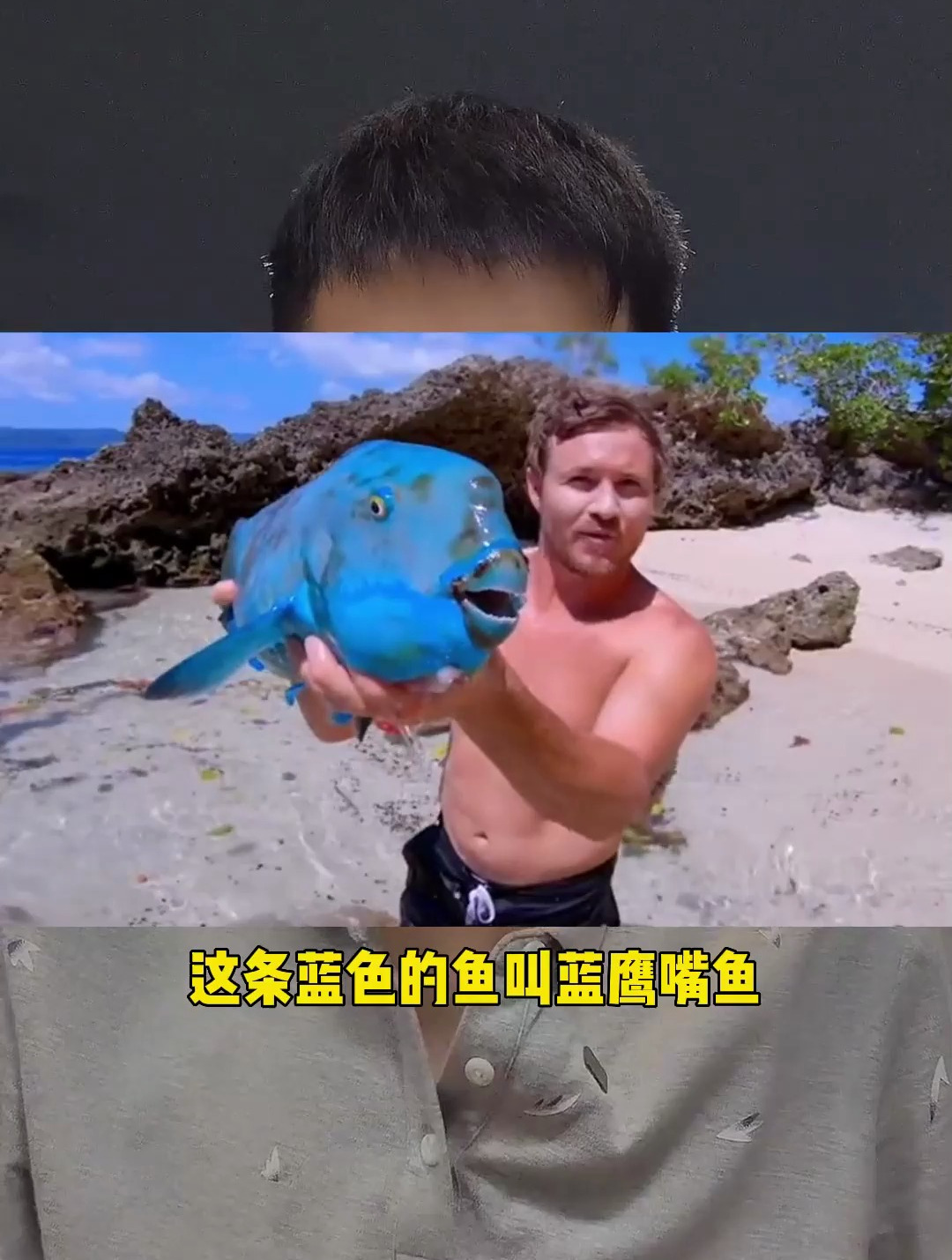 全身蓝色的鱼你见过吗?