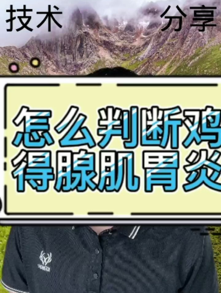 怎么判断鸡有没有得腺肌胃炎 怎样预防鸡腺肌胃炎