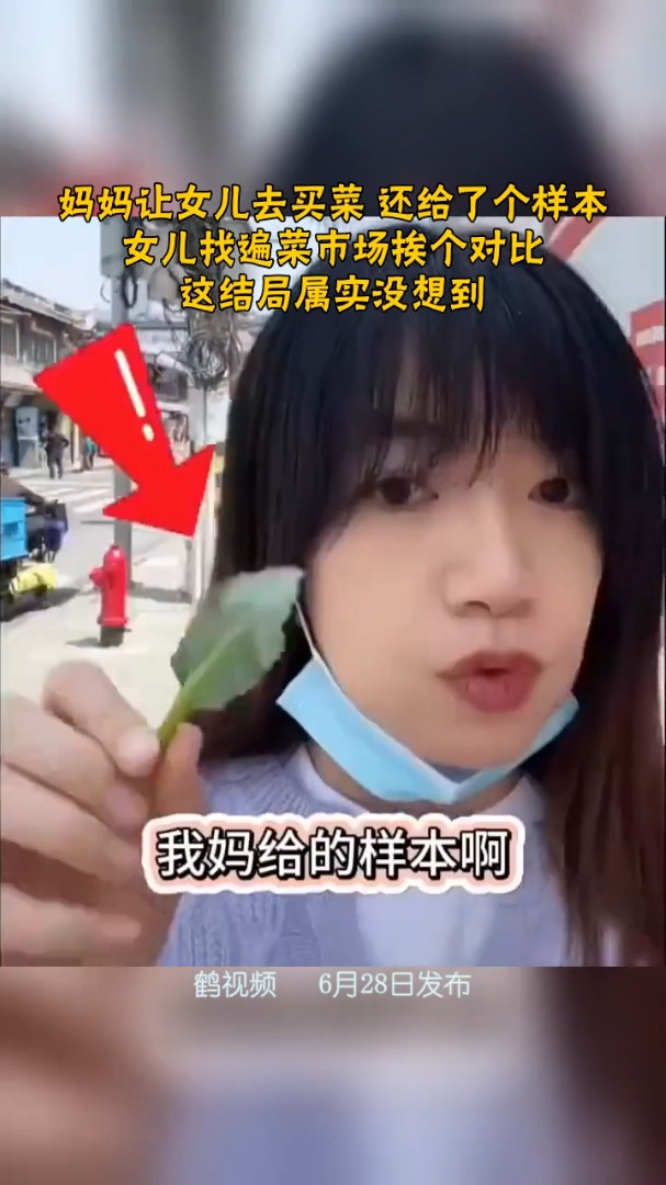 妈妈让女儿去买菜 还给了个样本 女儿找遍菜市场挨个对比 这结局属实没想到