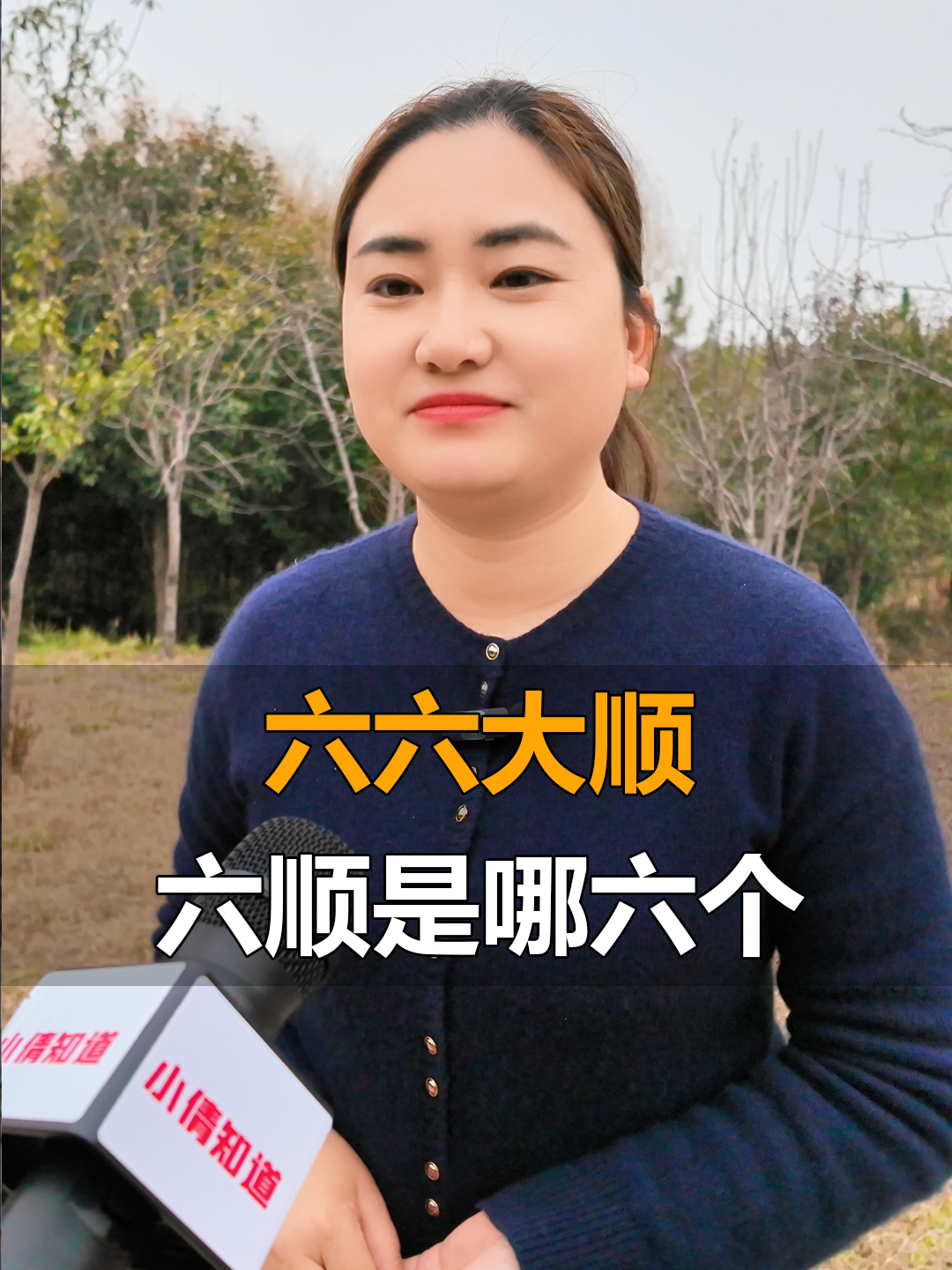 六六大顺中的六顺是哪六个?