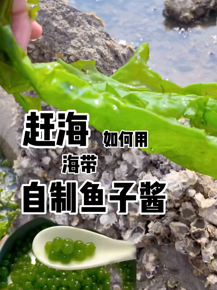 大家帮我看一下这样的鱼子酱值多少一克!
