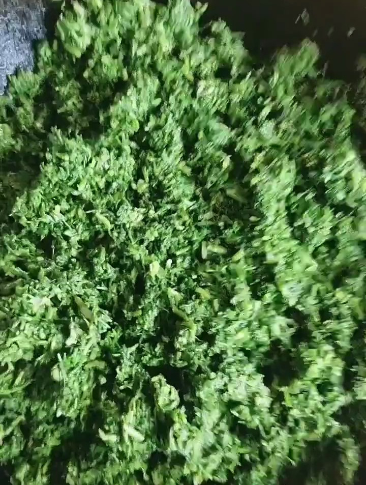 黄菜饺子绝对可以称得上是美味了