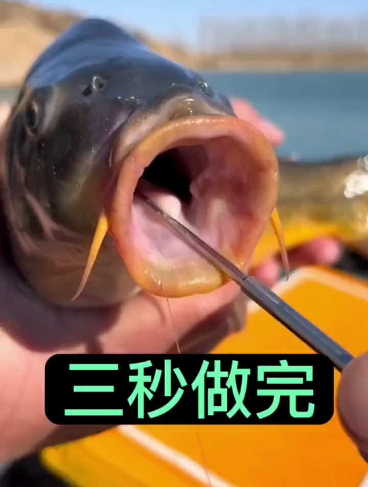 盲桶摘钩器,鱼钩吃多深都能一下捅出来