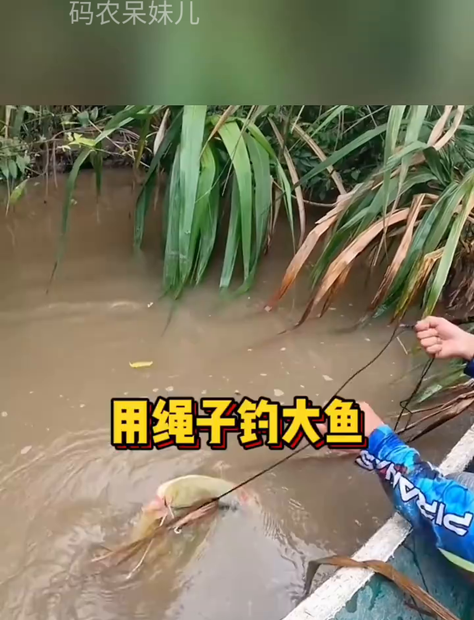 拿根绳子去河边钓大鱼喽!